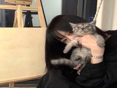 免费吃瓜 爆料曝光 独家揭秘,娱乐圈幕后大揭秘，明星隐私曝光